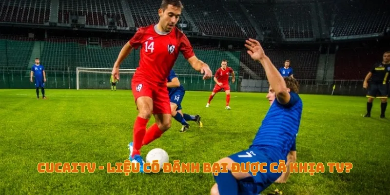 so sánh cucaitv vs cakhiatv