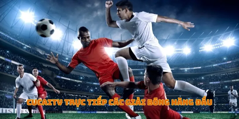 CucaiTV trực tiếp các giải bóng hàng đầu