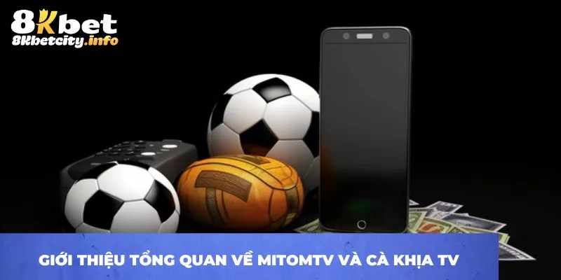 Giới thiệu tổng quan về MitomTV và cà khịa tv