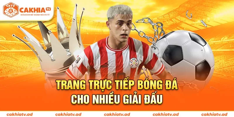 Trang trực tiếp bóng đá cho nhiều giải đấu
